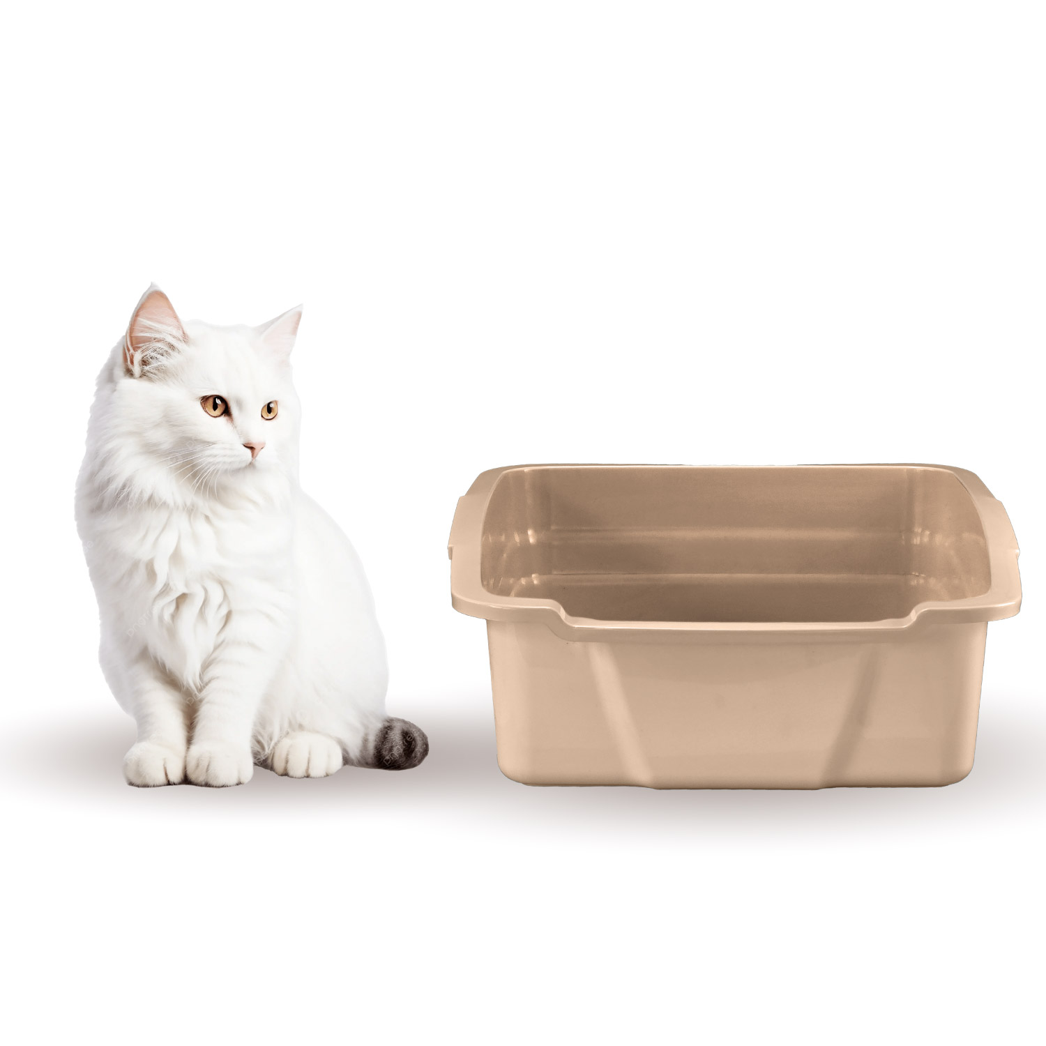 Arenero-para-Gatos-Arenero-Plastico-Baño-para-Gatos-01 Arenero-para-Gatos-Arenero-Plastico-Baño-para-Gatos-01