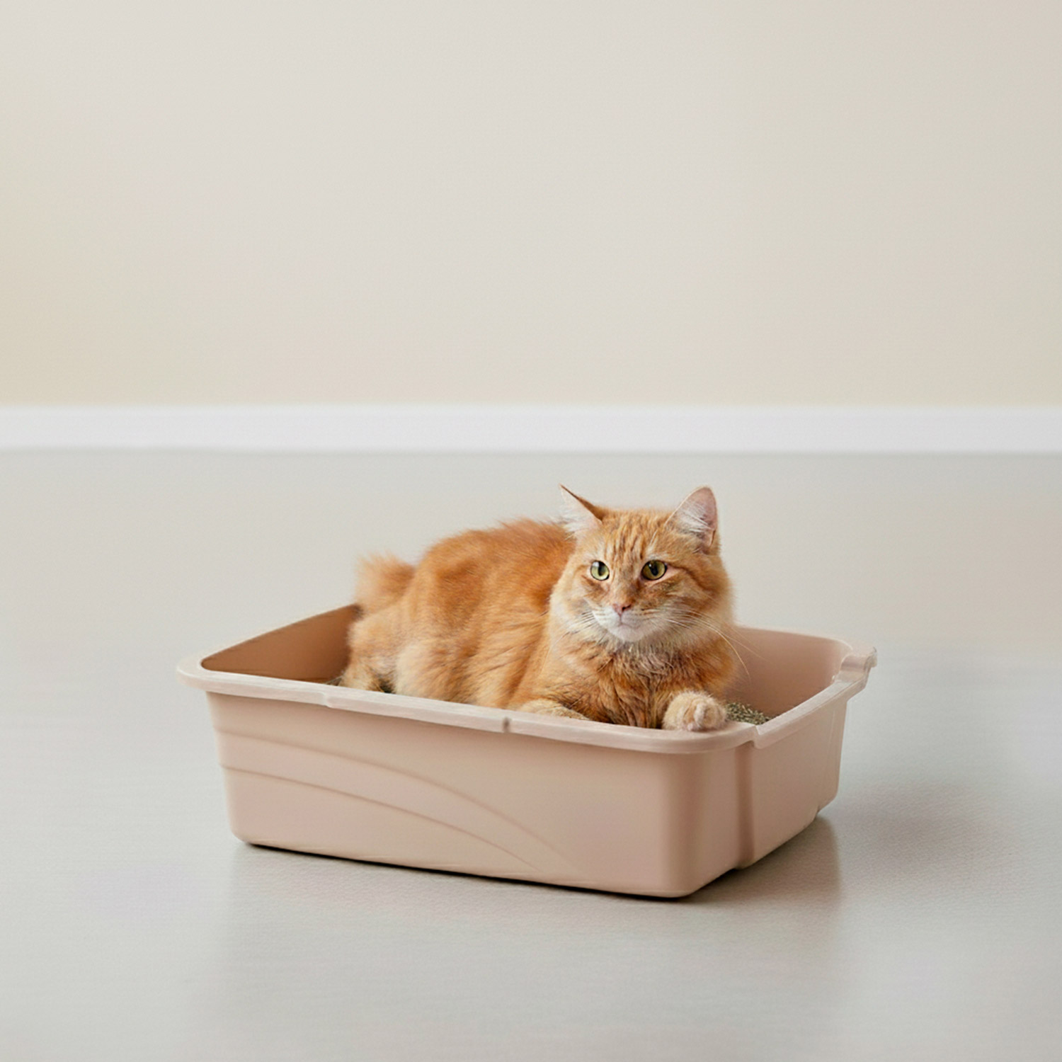 Arenero-para-Gatos-Arenero-Plastico-Baño-para-Gatos-07 Arenero-para-Gatos-Arenero-Plastico-Baño-para-Gatos-07